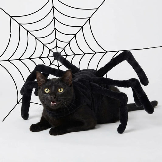 Halloween Spider Costume for Cats & Dogs